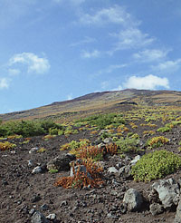 富士山2000