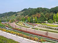 花フェスタ記念公園2001