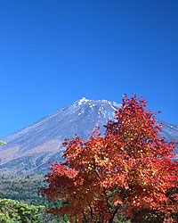 富士山200311