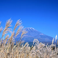 富士山200311