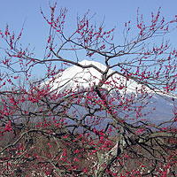 岩本山公園2003