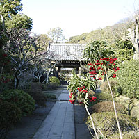 鎌倉2005