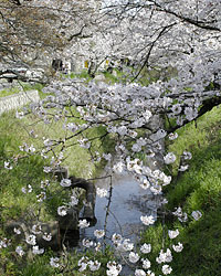 京都200504