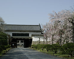 京都200504