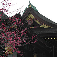 京都200502