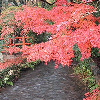 京都200411