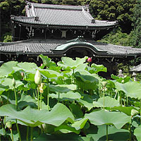 三室戸寺2003