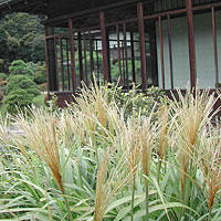 三渓園2004