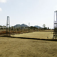 河津バガテル公園200602