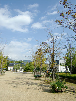 河津バガテル公園200711