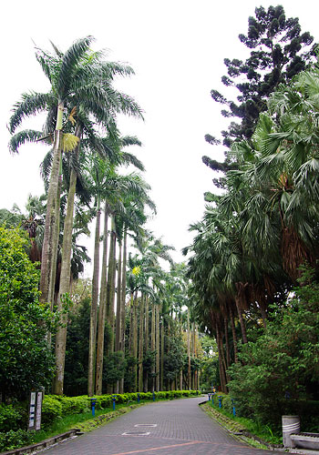 台北植物園2012