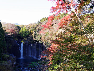 白糸の滝・田貫湖2011