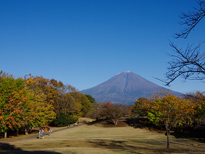 白糸の滝・田貫湖2011