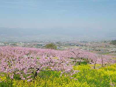 笛吹市2011